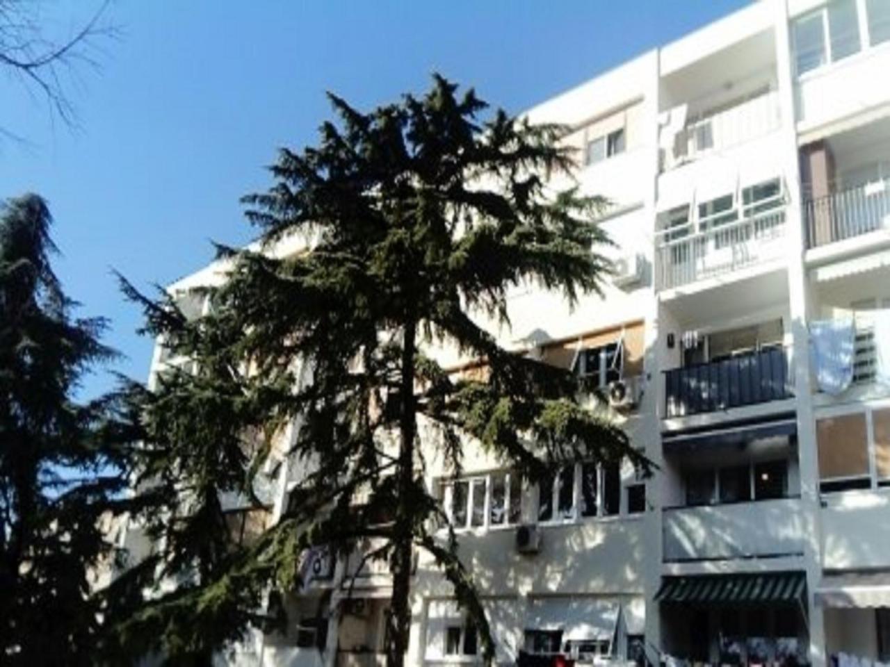 Apartment Calluna Сплит Экстерьер фото